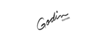 Godin Guitars