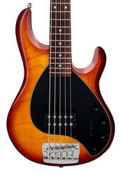 Sterling by MusicMan Ray35 - medový burst