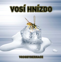 Vosí Hnízdo - Vosohybernace