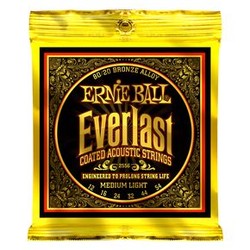 2556 Ernie Ball Everlast 80/20 Bronze - 12 / 54