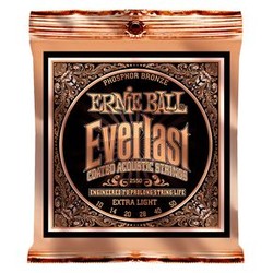 2550 Ernie Ball Everlast Phosphor Bronze - 10 / 50