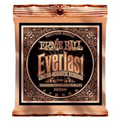 2544 Ernie Ball Everlast Phosphor Bronze - 13 / 56