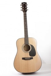 Turner W32 Plus - akustická kytara