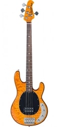 Sterling by MusicMan Ray 34 QM - Quilted Antique Maple