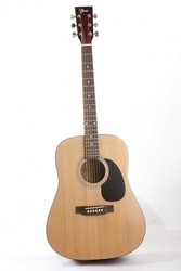 Turner SW200NL - akustická kytara