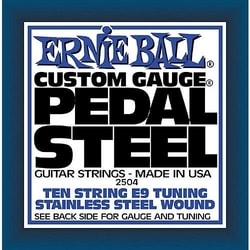 2504 Pedal Steel Stainless Steel Wound 10-String E9 Tunning